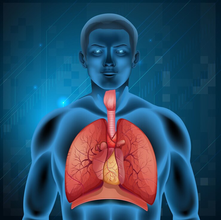 kussmaul breathing definition