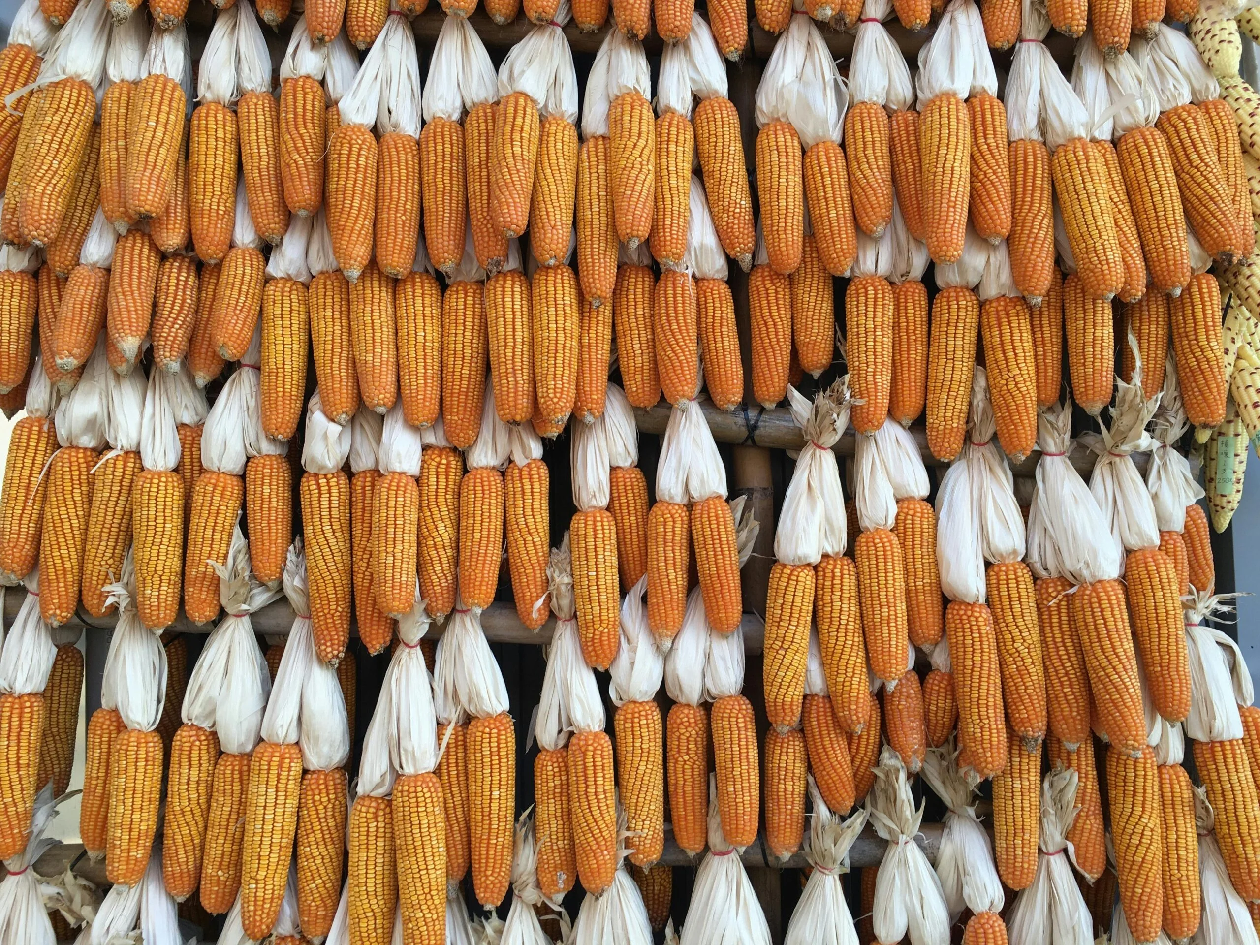 which of these is the oldest method of food preservation